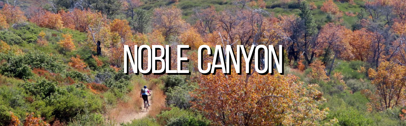 Noble cheap canyon mtb